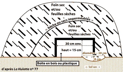 Caissette sous les feuilles ou le foin Caissette sous les feuilles ou le foin